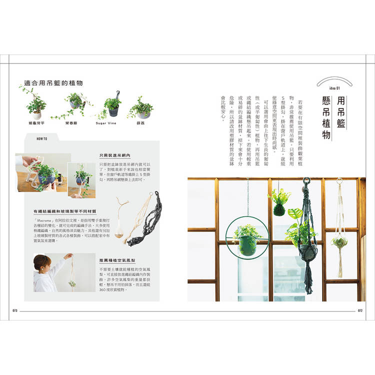 今天起,和植物一起生活:寫給想用綠意佈置家的你!36種耐陰好種、少蟲害、新手友善的室內觀葉提案 今天起,和植物一起生活:寫給想用綠意佈置家的你!36種耐陰好種、少蟲害、新手友善的室內觀葉提案