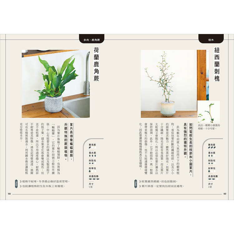 今天起,和植物一起生活:寫給想用綠意佈置家的你!36種耐陰好種、少蟲害、新手友善的室內觀葉提案 今天起,和植物一起生活:寫給想用綠意佈置家的你!36種耐陰好種、少蟲害、新手友善的室內觀葉提案