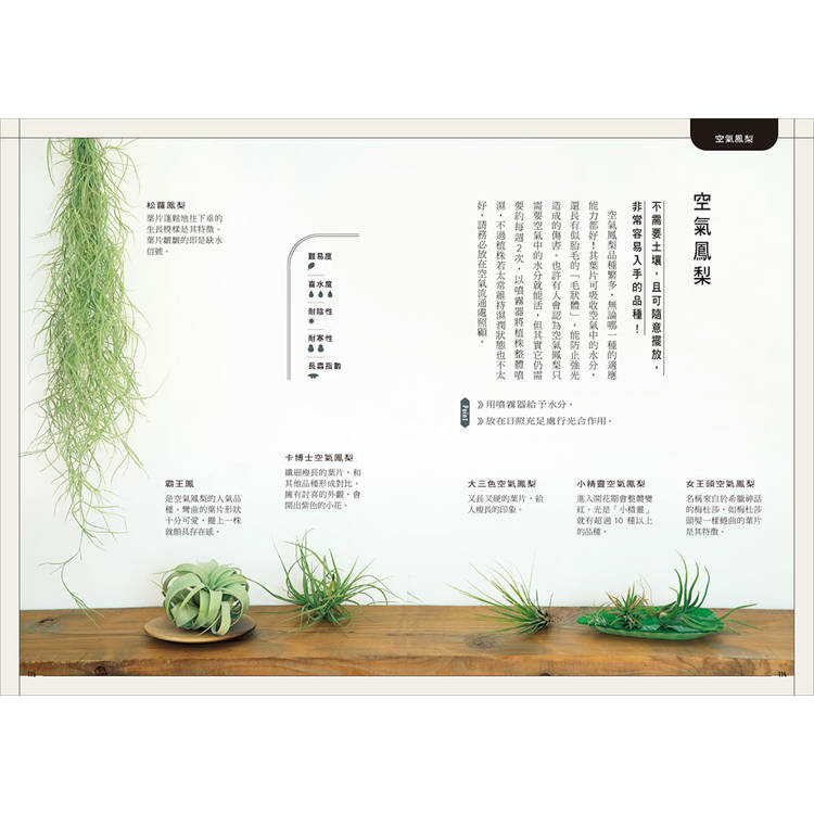 今天起,和植物一起生活:寫給想用綠意佈置家的你!36種耐陰好種、少蟲害、新手友善的室內觀葉提案 今天起,和植物一起生活:寫給想用綠意佈置家的你!36種耐陰好種、少蟲害、新手友善的室內觀葉提案