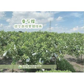番石榴綜合栽培管理技術