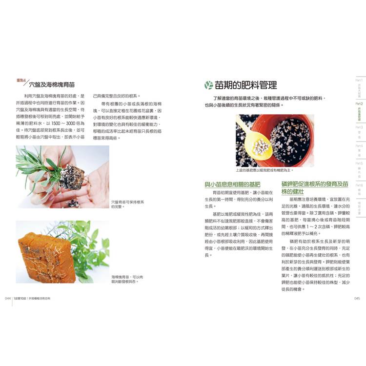 1盆變10盆:扦插種植活用百科(2024年暢銷改版) 1盆變10盆:扦插種植活用百科(2024年暢銷改版)