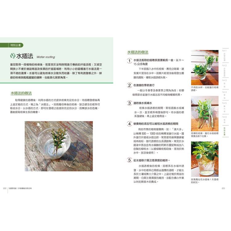 1盆變10盆:扦插種植活用百科(2024年暢銷改版) 1盆變10盆:扦插種植活用百科(2024年暢銷改版)