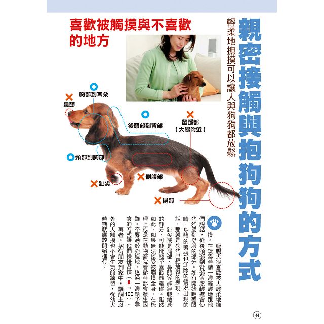 臘腸犬 金石堂