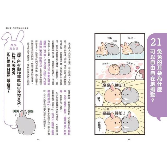兔兔有話說:給飼主的100項照顧守則 兔兔有話說:給飼主的100項照顧守則