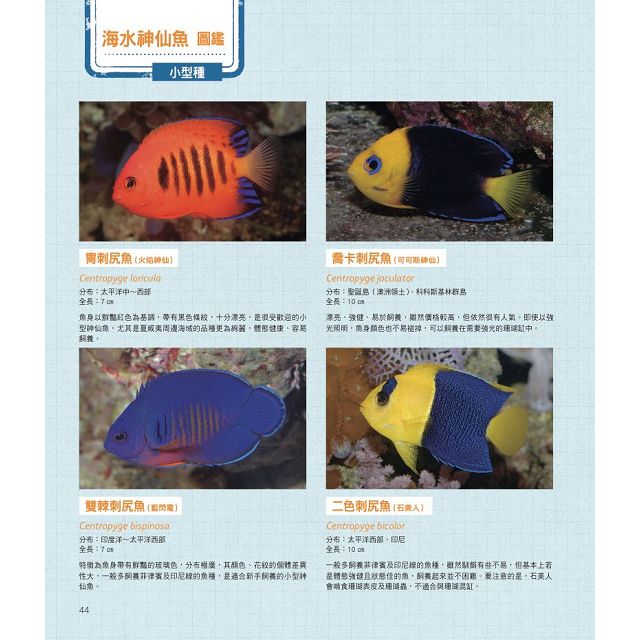 給新手的海水魚飼養指南 金石堂