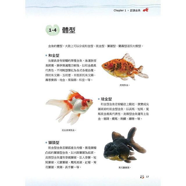 金魚事典 從認識 飼養到觀賞 寵物金魚的綺麗圖鑑 金石堂