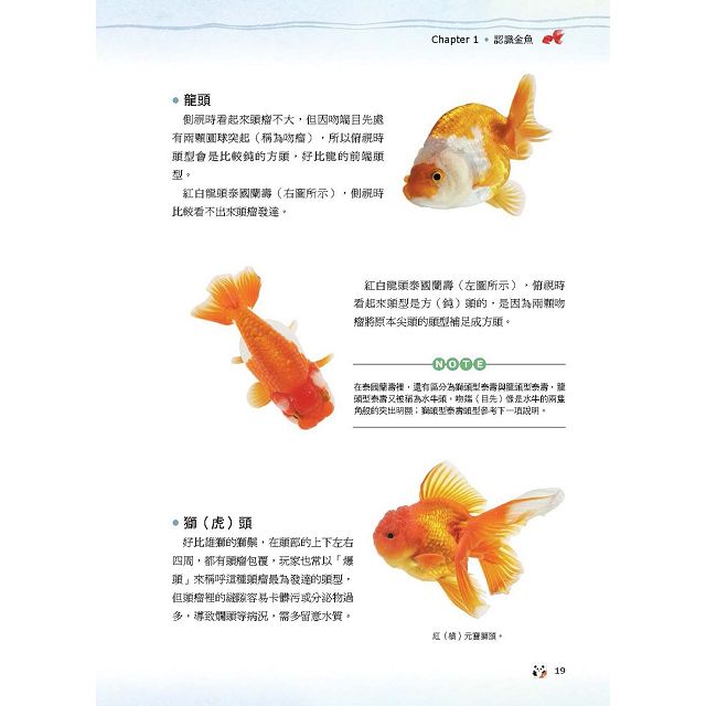 金魚事典 從認識 飼養到觀賞 寵物金魚的綺麗圖鑑 金石堂