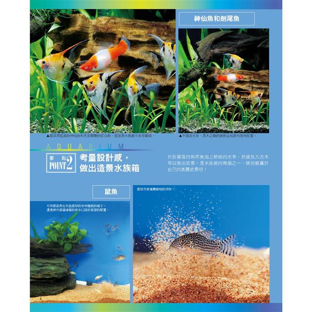 熱帶魚與水草的飼育法 暢銷版 金石堂