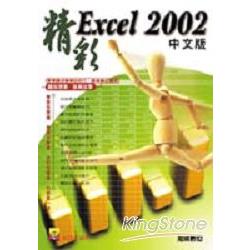 精彩EXCEL 2002中文版 | 拾書所