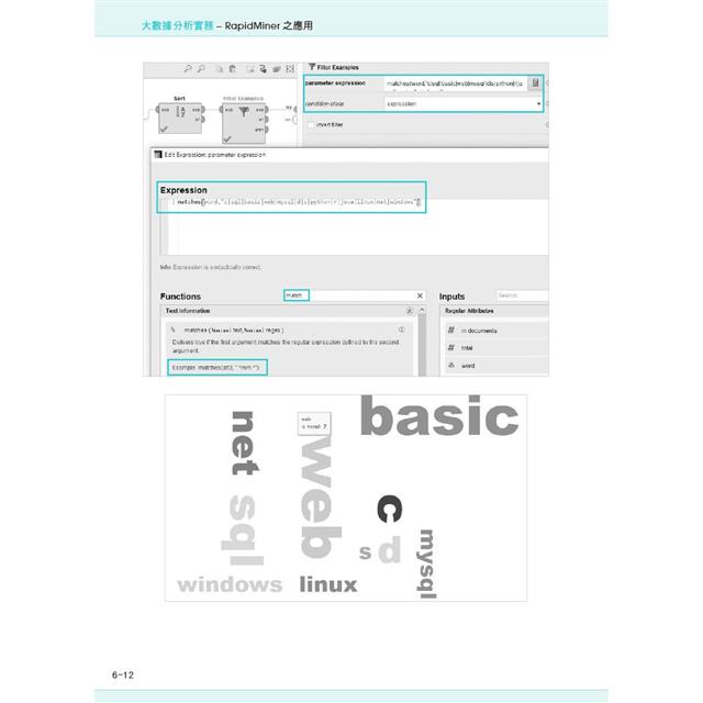 大數據分析實務:RapidMiner之應用 大數據分析實務:RapidMiner之應用