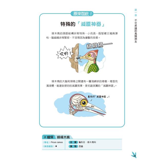 漫畫動物大明星2:從飛鳥家族到水中生物趣味大百科 漫畫動物大明星2:從飛鳥家族到水中生物趣味大百科