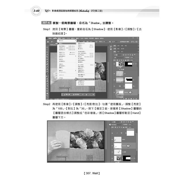 TQC+ 影像處理認證指南解題秘笈-Photoshop CC(第三版) TQC+ 影像處理認證指南解題秘笈-Photoshop CC(第三版)
