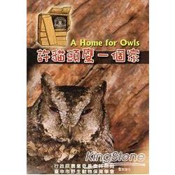 許貓頭鷹一個家〔DVD〕 | 拾書所