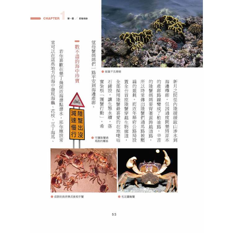 國境之南.永恆春日 國境之南.永恆春日