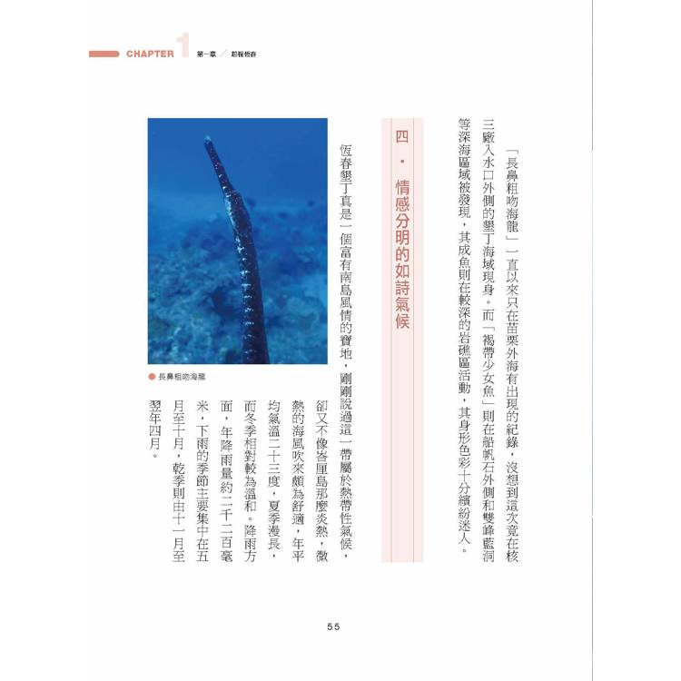 國境之南.永恆春日 國境之南.永恆春日