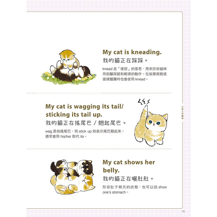 貓福珊迪陪你說英語 貓福珊迪陪你說英語