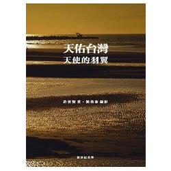 天佑台灣：天使的羽翼(精裝 彩圖) | 拾書所