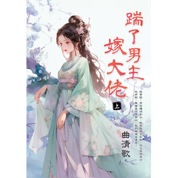 踹了男主嫁大佬．上