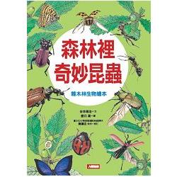 森林裡的奇妙昆蟲 : 雜木林生物繪本