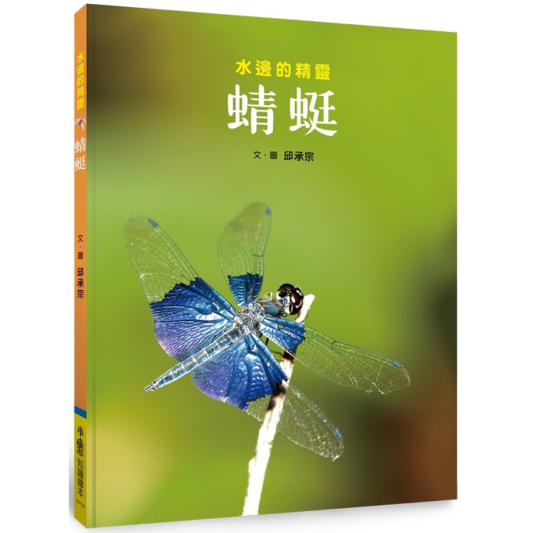 蜻蜓：水邊的精靈 | 拾書所