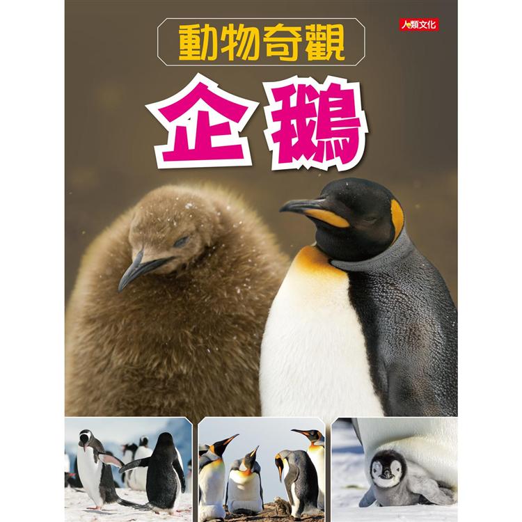 動物奇觀：企鵝【金石堂、博客來熱銷】