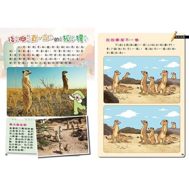 PLAY & LEARN:沙漠冒險 PLAY & LEARN:沙漠冒險