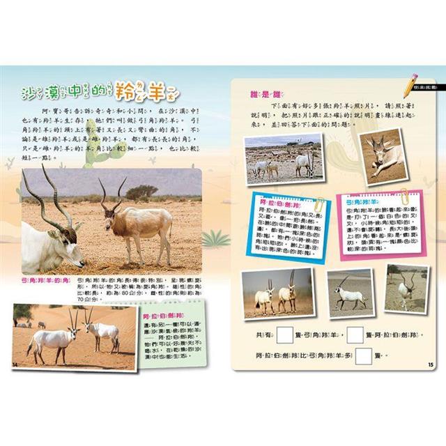 PLAY & LEARN:沙漠冒險 PLAY & LEARN:沙漠冒險