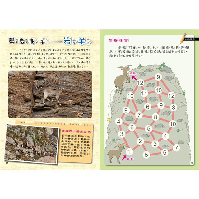 PLAY & LEARN:高山探祕 PLAY & LEARN:高山探祕