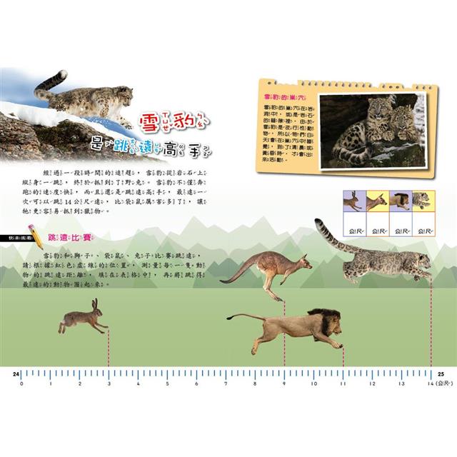 PLAY & LEARN:高山探祕 PLAY & LEARN:高山探祕