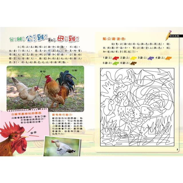 PLAY & LEARN:農場探索 PLAY & LEARN:農場探索