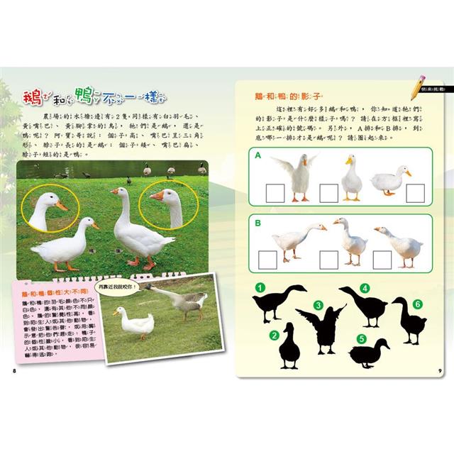 PLAY & LEARN:農場探索 PLAY & LEARN:農場探索