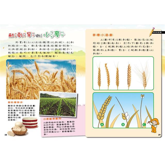 PLAY & LEARN:農場探索 PLAY & LEARN:農場探索