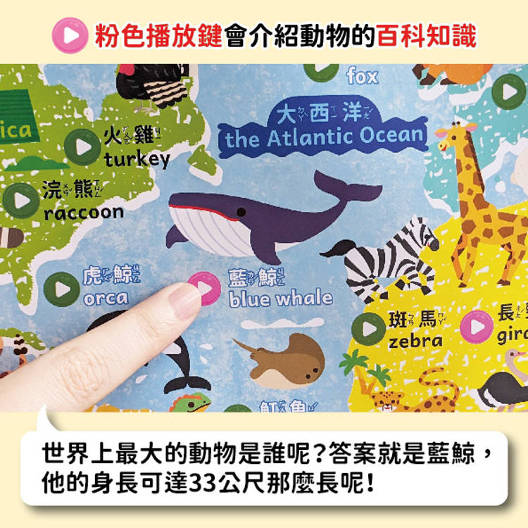奇妙的動物100種有聲掛圖:台灣+世界動物大全(雙面+中英文單字2合1 ) 奇妙的動物100種有聲掛圖:台灣+世界動物大全(雙面+中英文單字2合1 )