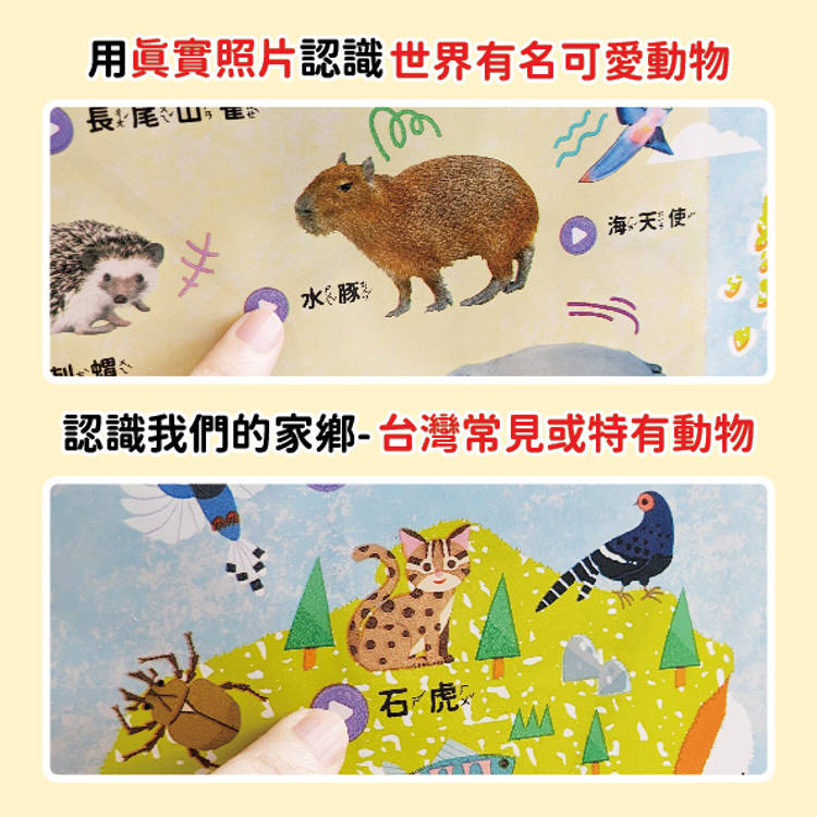 奇妙的動物100種有聲掛圖:台灣+世界動物大全(雙面+中英文單字2合1 ) 奇妙的動物100種有聲掛圖:台灣+世界動物大全(雙面+中英文單字2合1 )