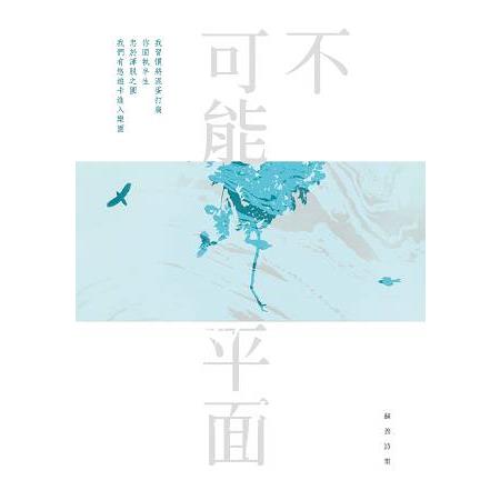 不可能平面-蘇善詩集 | 拾書所