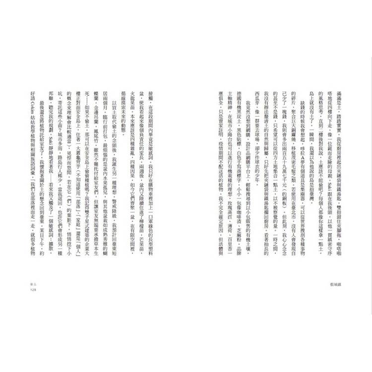 假城鎮 假城鎮