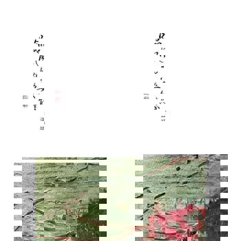 臨風的姿態