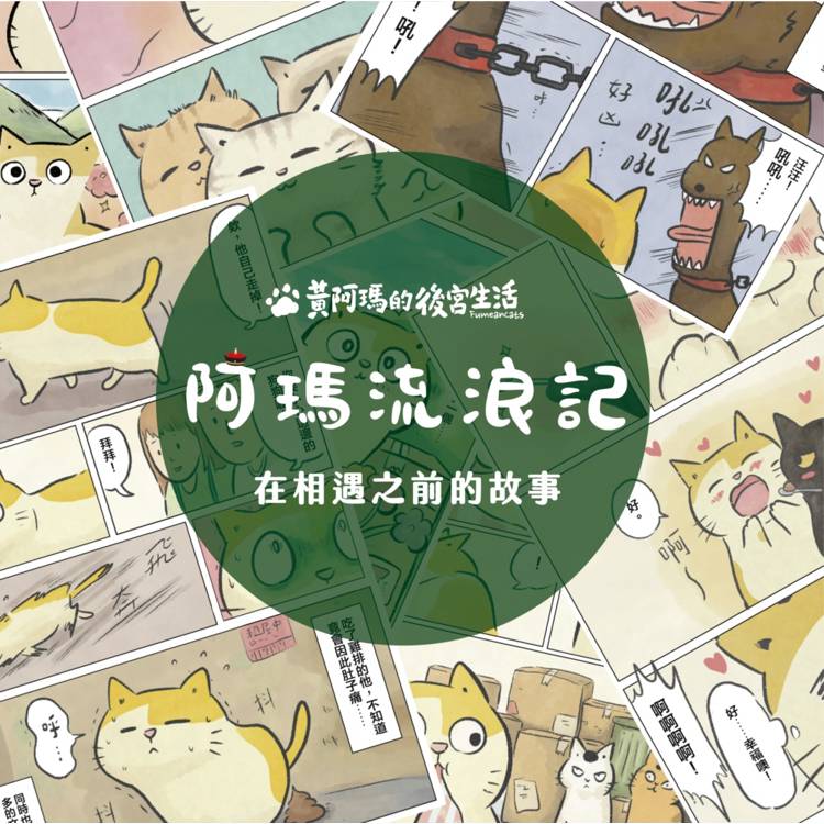 黃阿瑪的後宮生活阿瑪流浪記:在相遇之前的故事 黃阿瑪的後宮生活阿瑪流浪記:在相遇之前的故事