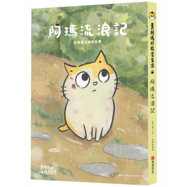 黃阿瑪的後宮生活阿瑪流浪記：在相遇之前的故事【金石堂、博客來熱銷】