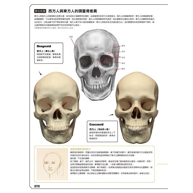 片桐裕司雕塑解剖學 完全版 金石堂藝術設計