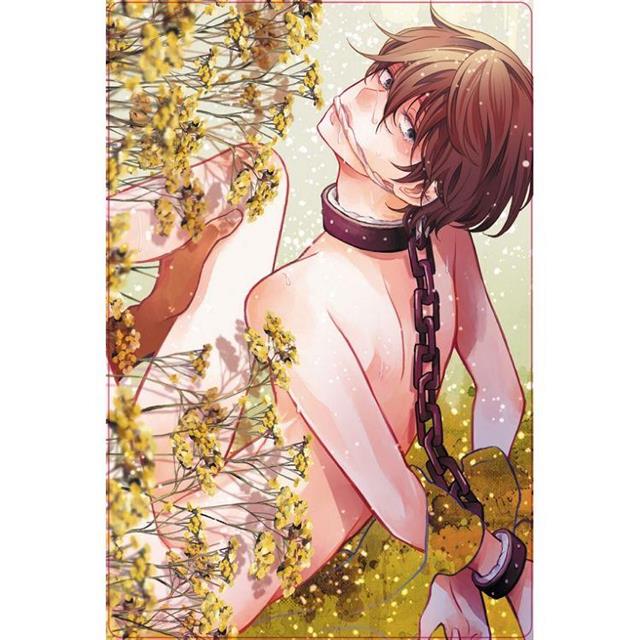 D ~不懂何謂愛的聊天室青年 (首刷限定版)(全) D ~不懂何謂愛的聊天室青年 (首刷限定版)(全)