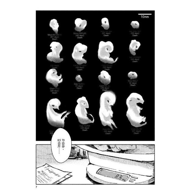 九號天鵝(全) 九號天鵝(全)