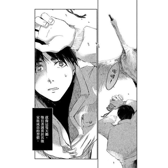 九號天鵝(全) 九號天鵝(全)