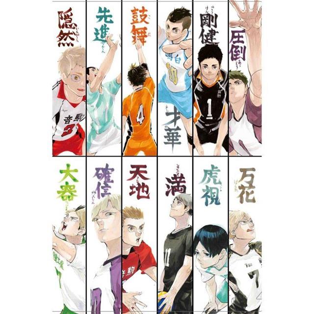 排球少年!!10週年編年史(首刷限定版)  (全) 排球少年!!10週年編年史(首刷限定版)  (全)