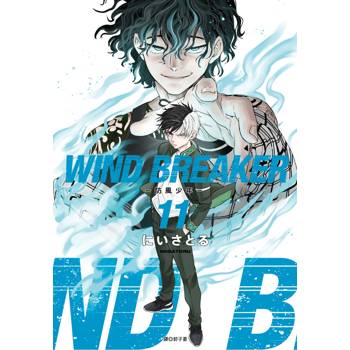 WIND BREAKER—防風少年—(11) WIND BREAKER—防風少年—(11)