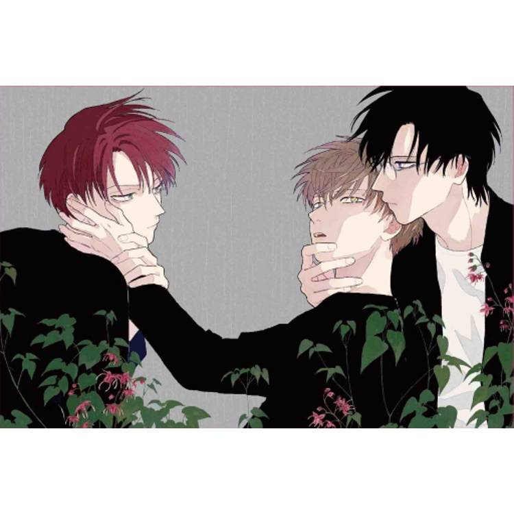 海豚的耳骨 (首刷限定版) (全) 海豚的耳骨 (首刷限定版) (全)