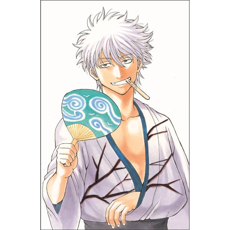 銀魂 愛藏版 (首刷限定版) 05 銀魂 愛藏版 (首刷限定版) 05