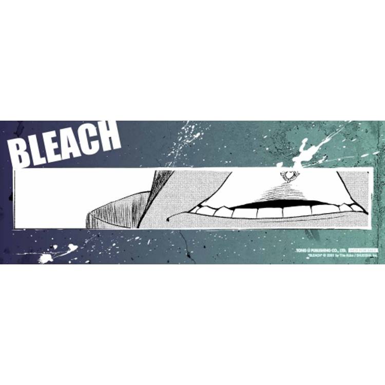 BLEACH死神 愛藏版 (首刷限定版) 11 BLEACH死神 愛藏版 (首刷限定版) 11