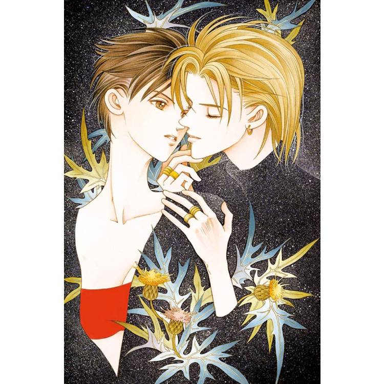 輝夜姬 愛藏版 (首刷附錄版) 12 輝夜姬 愛藏版 (首刷附錄版) 12