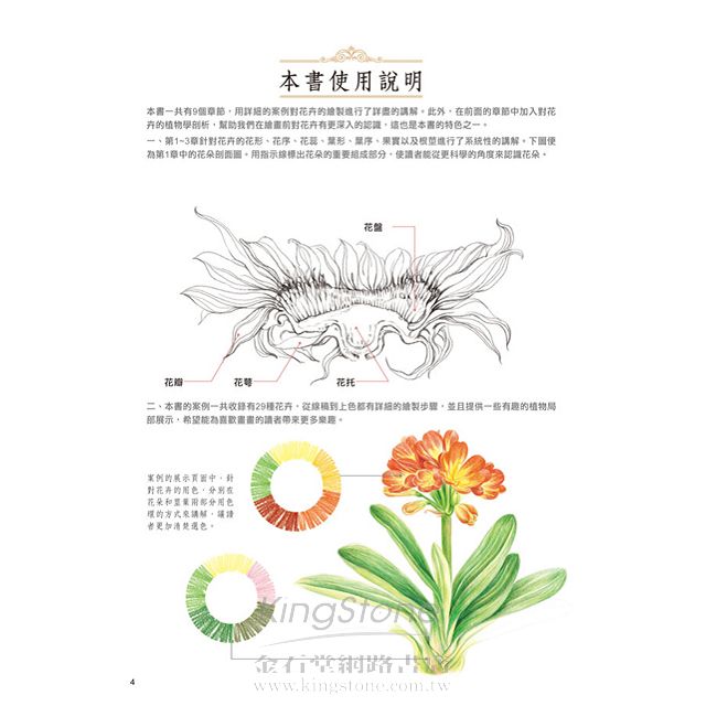 色鉛筆的花卉草本手繪帖 金石堂